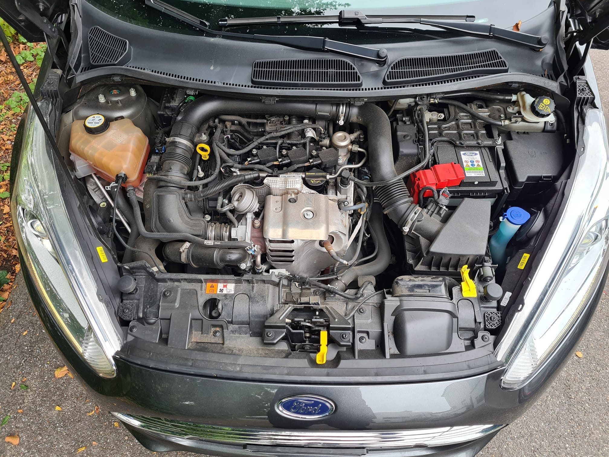 FORD Fiesta 1.0i Eco0Boost SCTi 100 PS Trend — zdjęcie 14