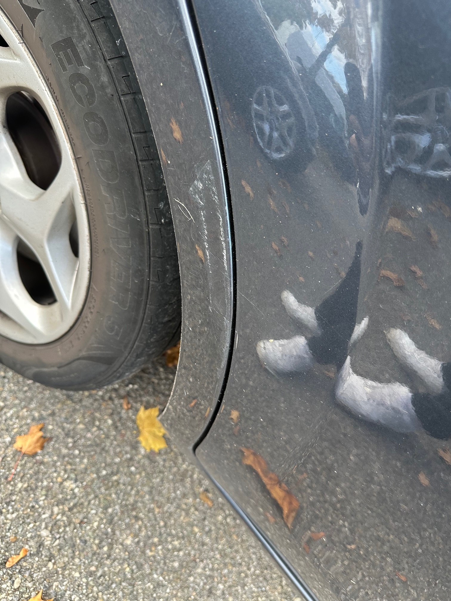 FORD Focus 2.0i 16V — zdjęcie 15