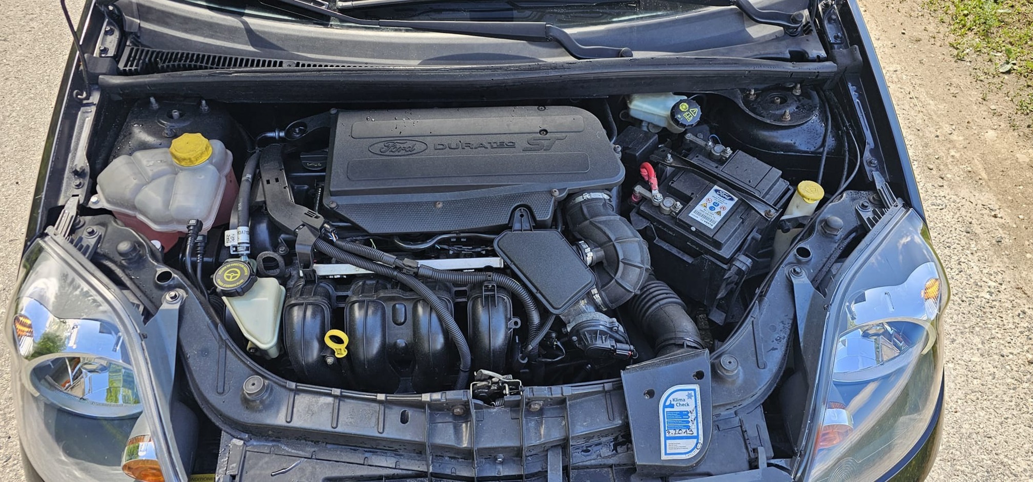 FORD Fiesta ST ab frischer MFK — zdjęcie 6