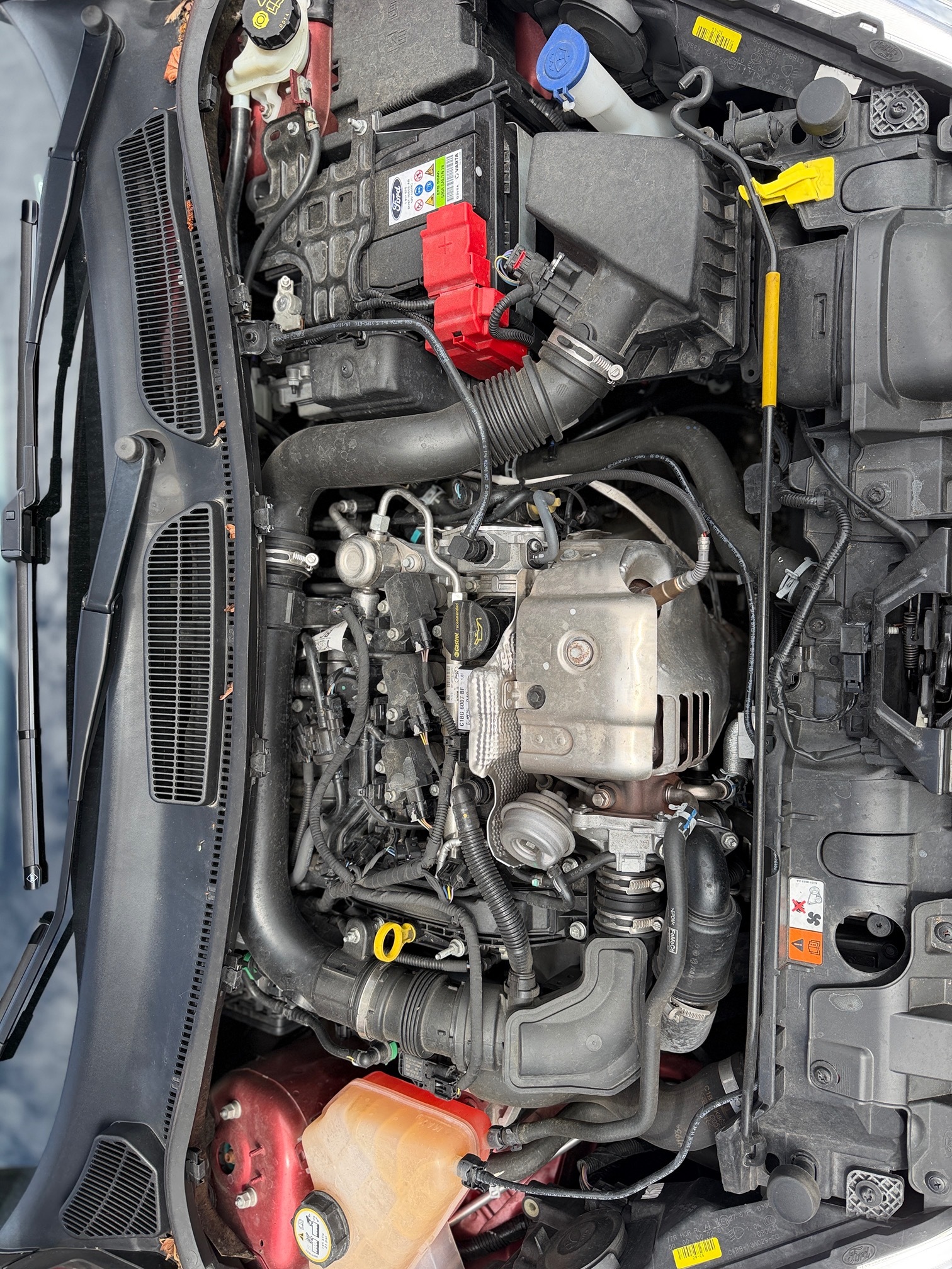 FORD Fiesta 1.0 SCTi — zdjęcie 13