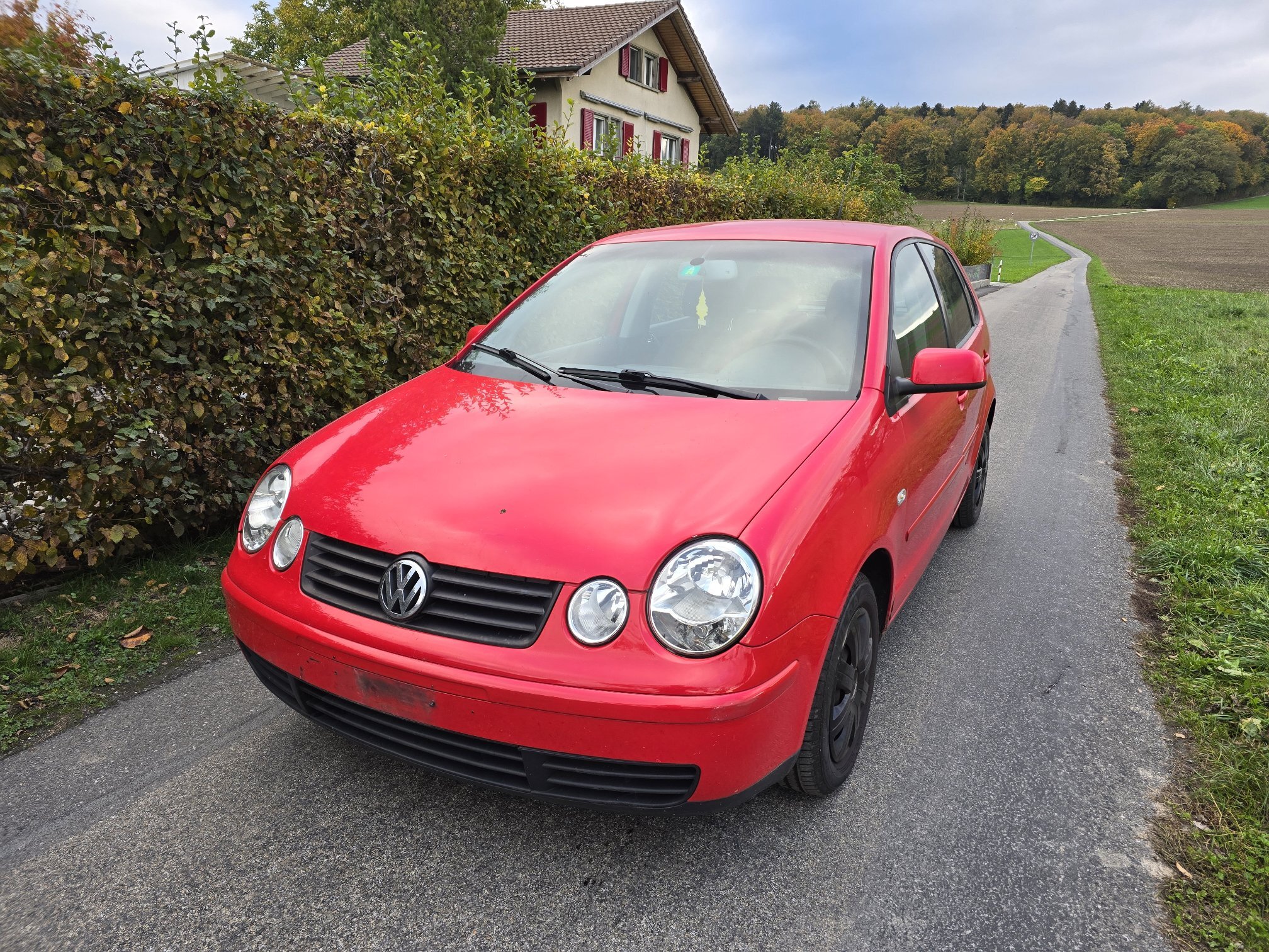 VW Polo
