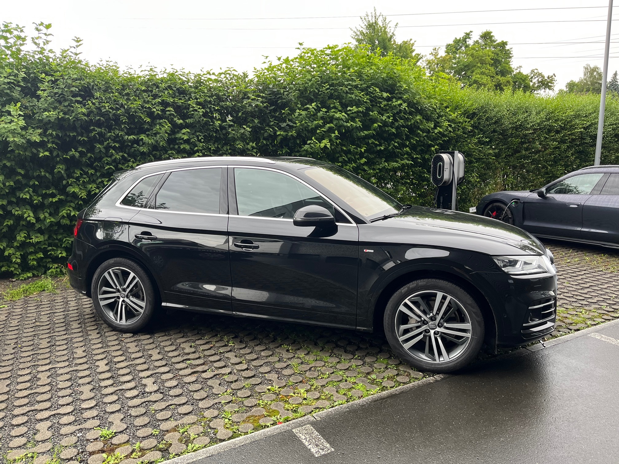 AUDI Q5 2.0TDI — zdjęcie 4