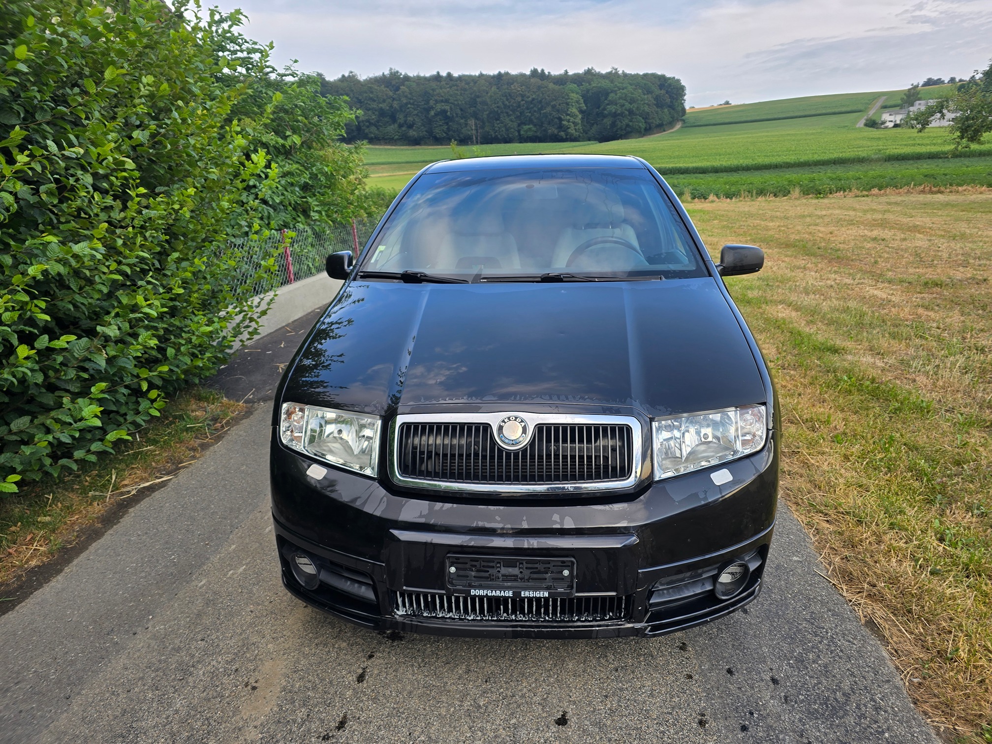 SKODA Fabia RS 1.9TDI — zdjęcie 2
