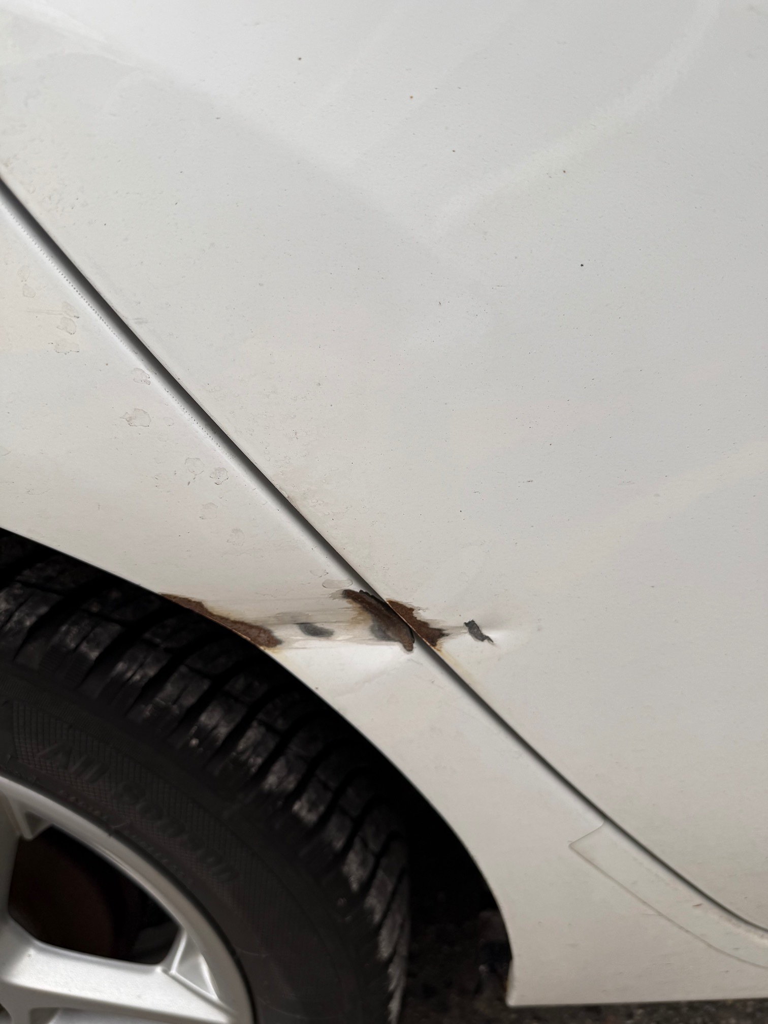 FORD Fiesta 1.0 SCTi EcoBoost Titanium — zdjęcie 13