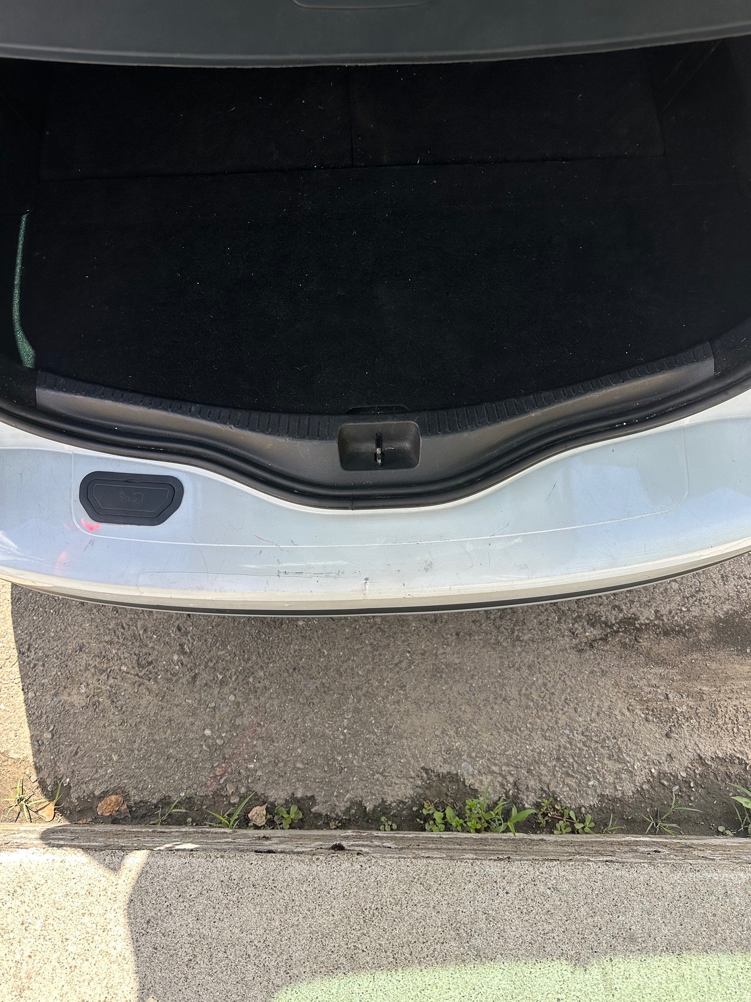 RENAULT Scenic — zdjęcie 14
