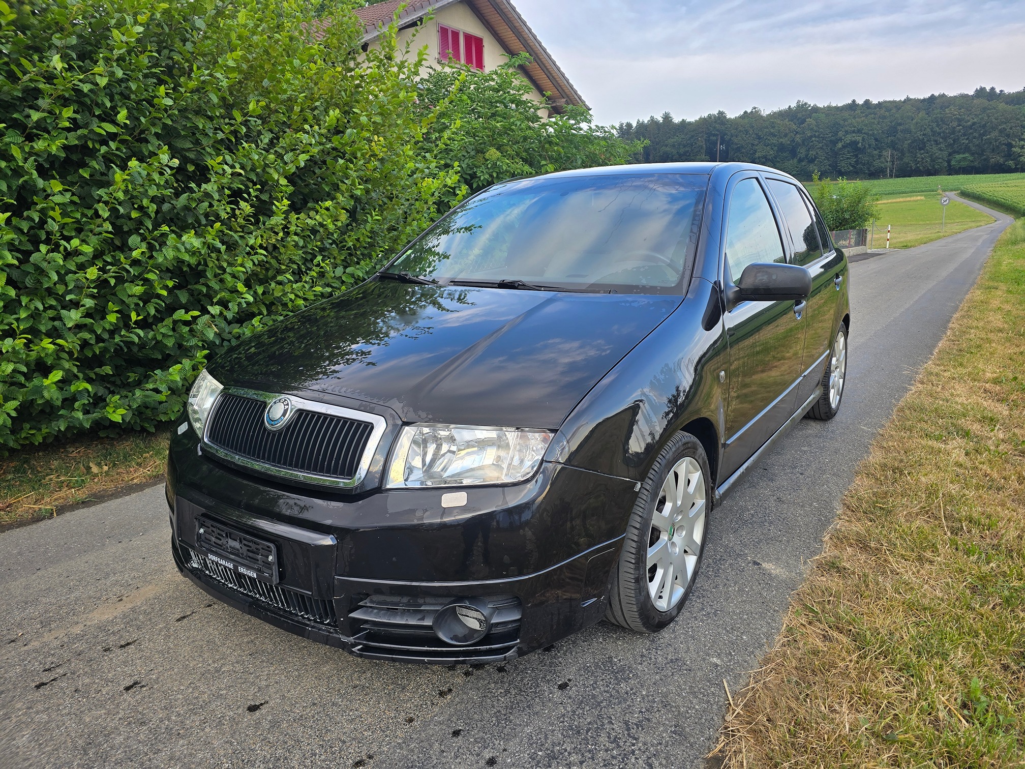 SKODA Fabia RS 1.9TDI